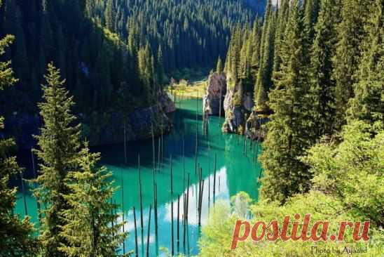 Озеро Каинды.
http://www.kp74.ru/kolsay.html