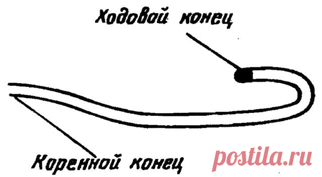Как завязывать узлы - 38 надежных испытанных узлов
