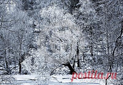 Stock Photos, Royalty-Free Images & Video Footage By Dreamstime Stock Photography