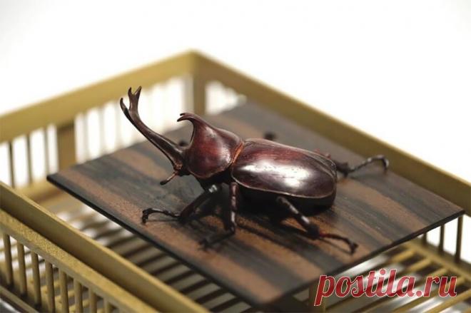 Японский художник вырезает из дерева потрясающие скульптуры, которые