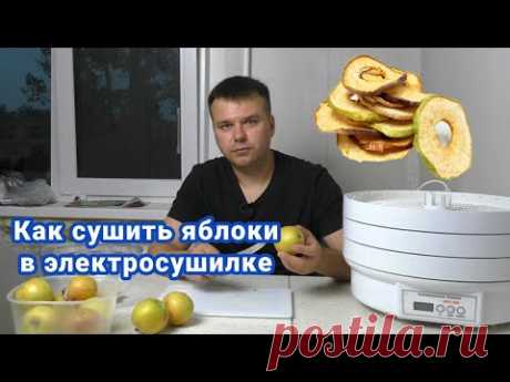 Как сушить яблоки в электросушилке
