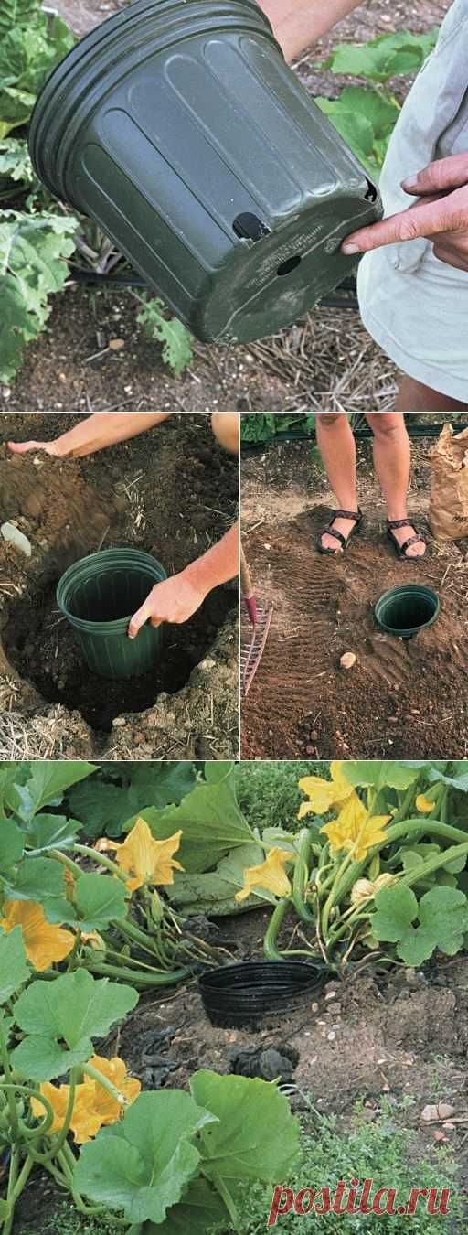 Pinterest • Всемирный каталог идей