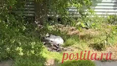 Любовь)