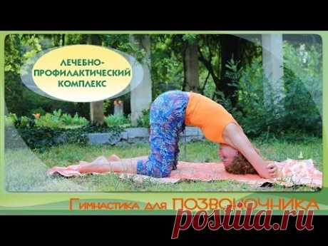 Оздоровительная гимнастика для ПОЗВОНОЧНИКА / Лечебно-профилактический комплекс