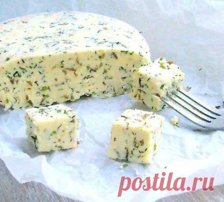 "Домашний сыр с зеленью и тмином" | Вкусные рецепты