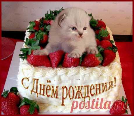 Новости