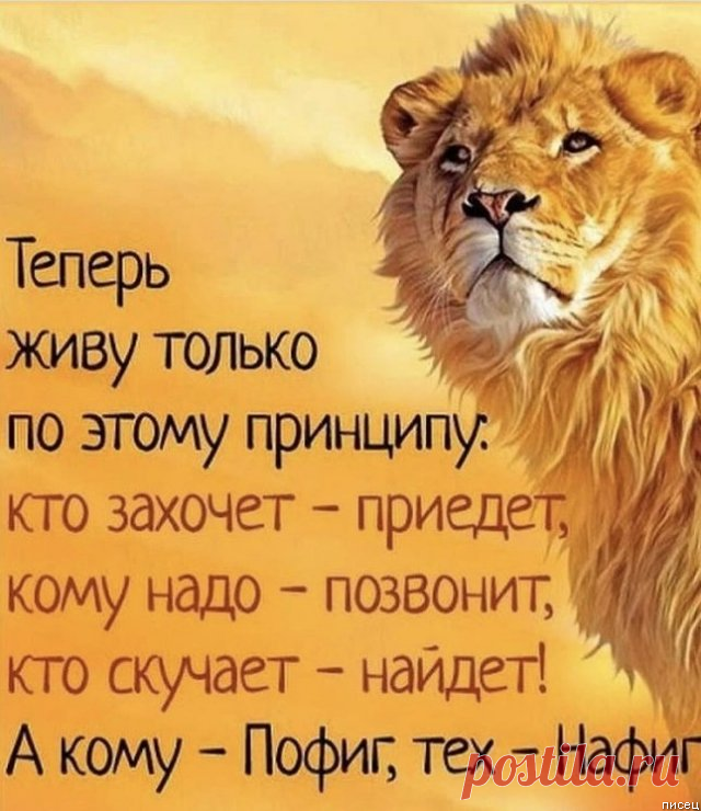 Обалдеть, ну ведь всё в точку! / Писец - приколы интернета