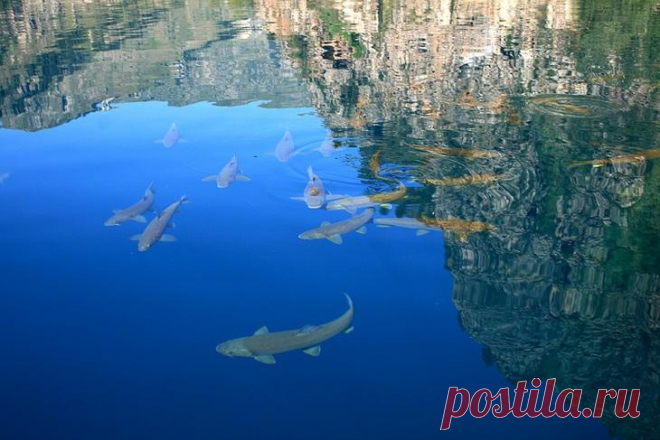 Хе из рыбы Хо: Красоты кыргызстанских заповедников