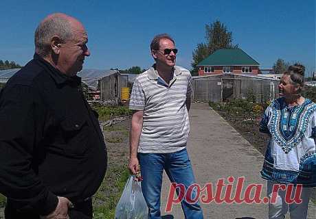 Сад Шубиной - саженцы, рассада, крупномеры в Новосибирске.