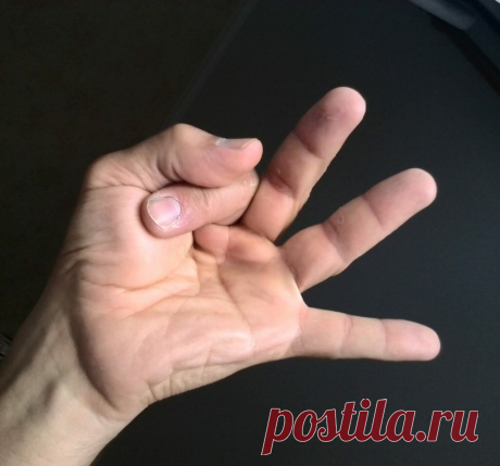 Мудра для укрепления памяти, любых своих достижений, для помощи в запоминании необходимой информации | Фитнес - стиль жизни | Яндекс Дзен