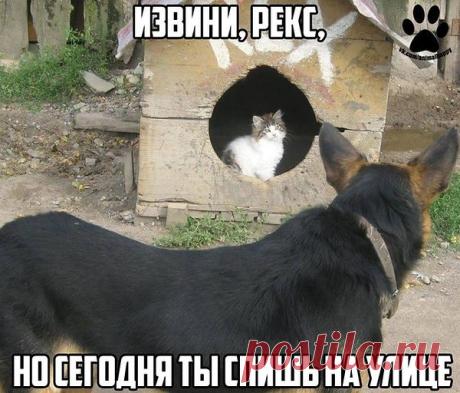 Интересные новости
