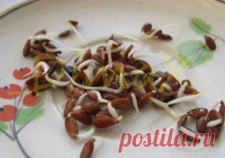 Мой Мир@Mail.Ru