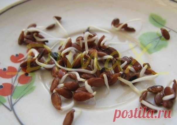 Мой Мир@Mail.Ru