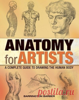 Anatomy for Artists: A Complete Guide to Drawing the Human Body 2023
