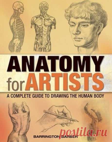 Anatomy for Artists: A Complete Guide to Drawing the Human Body 2023