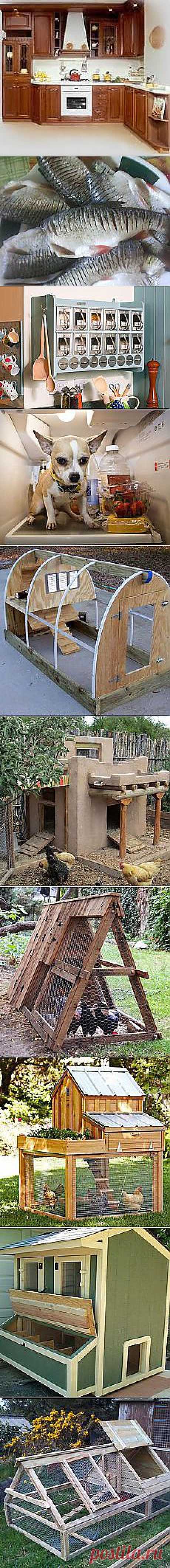 А я и не знала....