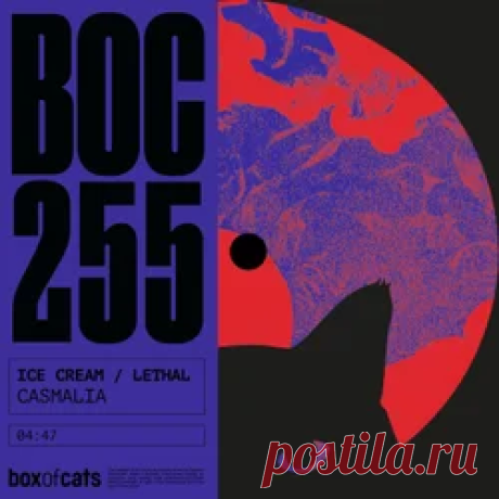 Casmalia - Ice Cream / Lethal | 4DJsonline.com