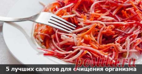 Задумчивый врач: «Подготовил рецепты салатов для полного очищения! По желудку часы сверять можно…» — Домашняя кулинария