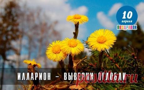С днем Илариона! Пусть вывернутся оглобли, а вместе с ними — все печали и заботы! Пусть весна принесет тепло в дом и радость в сердце, а здоровье будет крепким, как мать-и-мачеха! Открытки на  Иларион-выверни оглобли!