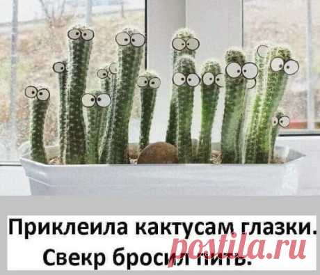 Случайно уронил на себя открытую банку Бондюэль. Был огорошен - Зашибись - медиаплатформа МирТесен У нас в доме грузовой лифт не работал около месяца - серьезная поломка электродвигателя, вроде обмотки сгорели. Ну и нынче счастливый день, запустили, причем я становлюсь первым счастливчиком - когда дверь открывается на этаже в кабине четыре механика-лифтера и, по-видимому, мастер, только ремонт