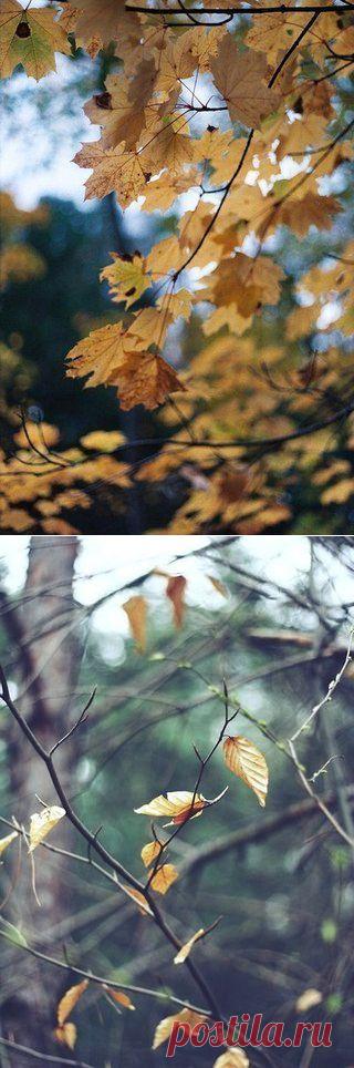 В жизни каждого наступает момент, когда нужно понять, что старого больше нет. Оно было там, в прошлом, а сейчас развалилось окончательно и безвозвратно. Так мы учимся отпускать время.

Эльчин Сафарли