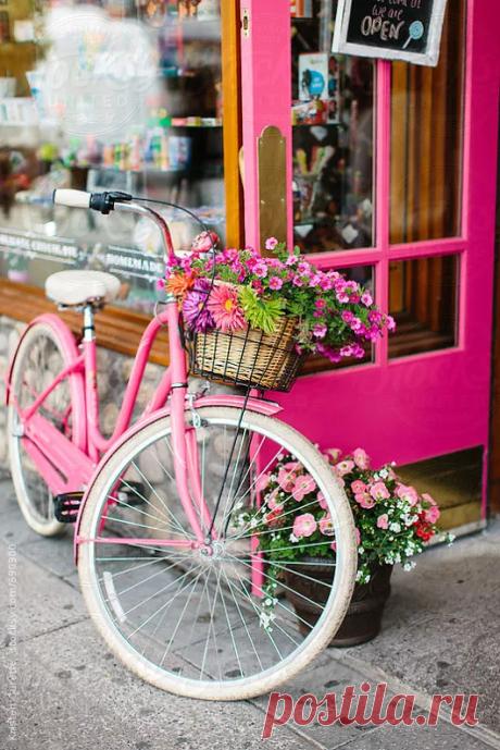Roses and flowers - Google+