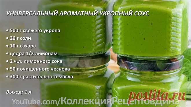 Способы заготовки свежей зелени на зиму с сохранением вкуса и аромата! | Дина, Коллекция Рецептов | Яндекс Дзен
