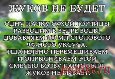 БЕРЁМ НА ЗАМЕТКУ!