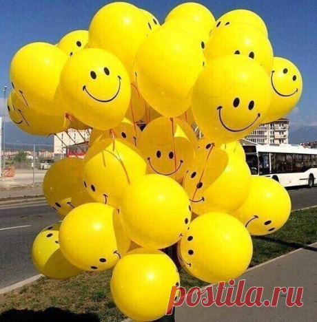 i (565×575)