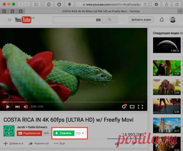 Как скачать видео с YouTube на компьютер?