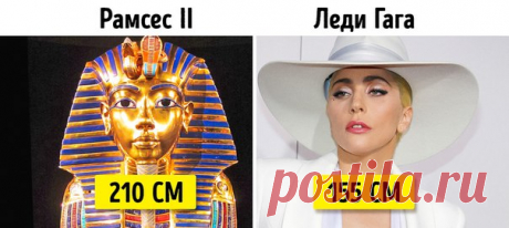 А где находитесь вы по шкале роста?