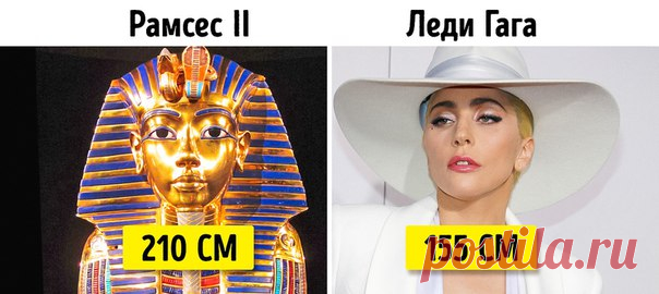 А где находитесь вы по шкале роста?