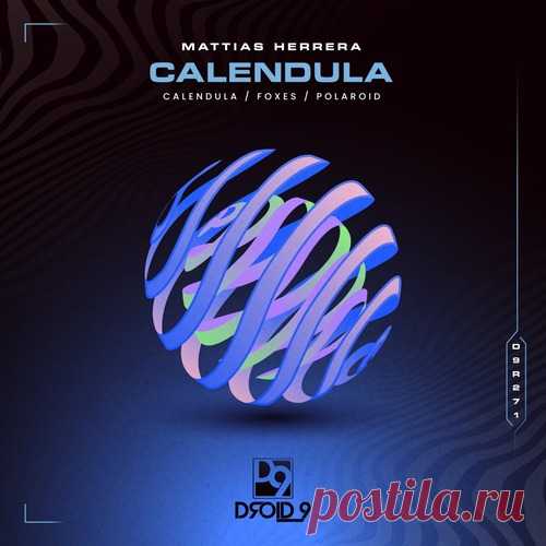 Mattias Herrera – Calendula [D9R271] ✅ MP3 download