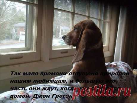 (72) Одноклассники