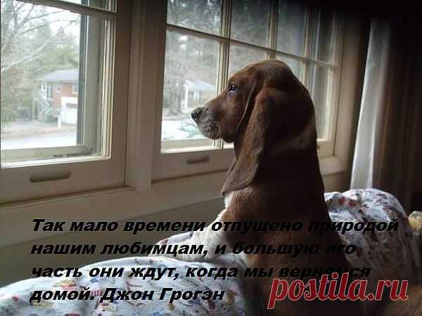 (72) Одноклассники