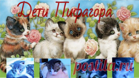 Дети Пифагора.