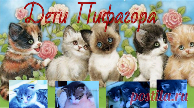 Дети Пифагора.