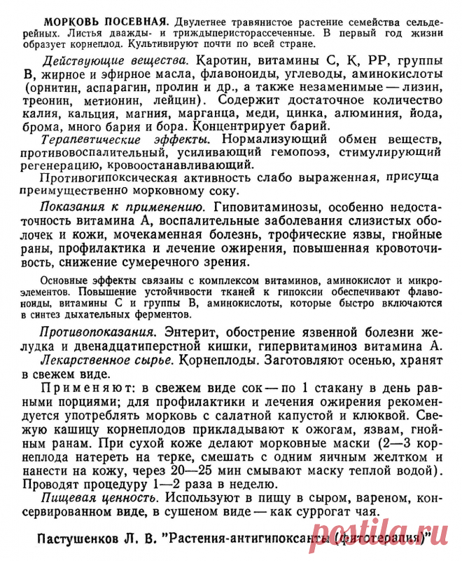 Морковь посевная