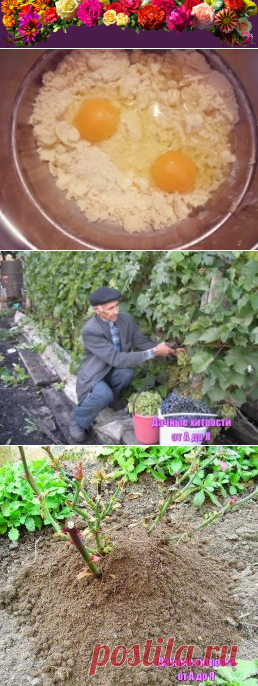 (37) Одноклассники