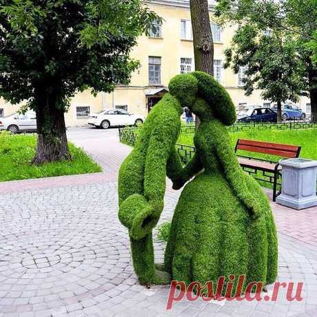 (79) Одноклассники