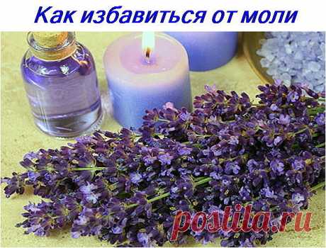 (57) Одноклассники