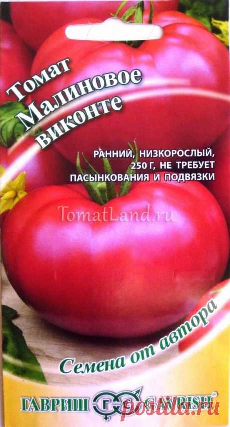 Томат розовый виконте отзывы фото Огород без хлопот - информационный сайт для дачников, садоводов и огородников.