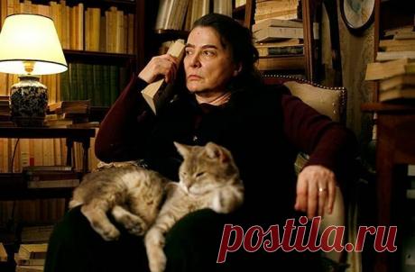 Давно я не читала таких книг, а зря. «Элегантность ёжика», Мюриэль Барбери | Беречь речь | Яндекс Дзен