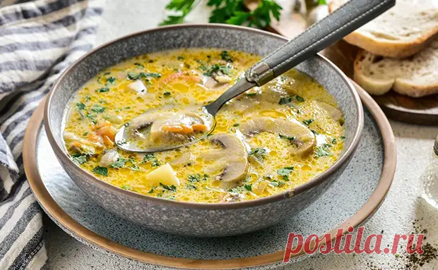 Самый вкусный грибной суп: к шампиньонам нужно добавить горсть лесных грибов - Steak Lovers - Медиаплатформа МирТесен