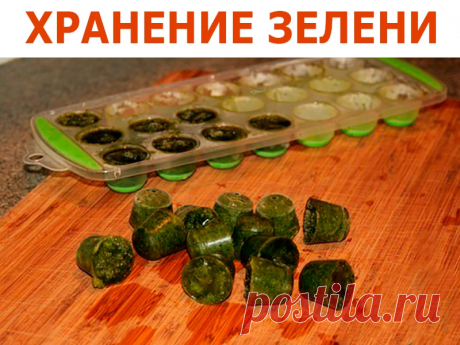 ХРАНЕНИЕ ЗЕЛЕНИ | Полезные советы!