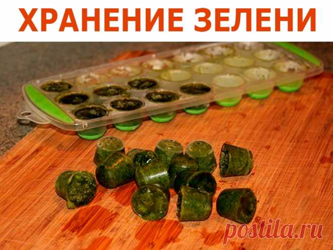 ХРАНЕНИЕ ЗЕЛЕНИ | Полезные советы!