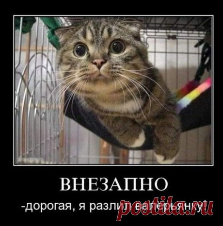 Демотиваторы (30 фото) » Триникси