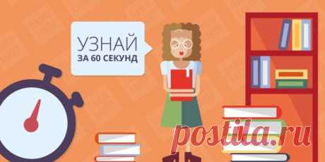 Видеосоветы для лайфхакера: ЗНАНИЯ ЗА МИНУТУ - Лайфхакер