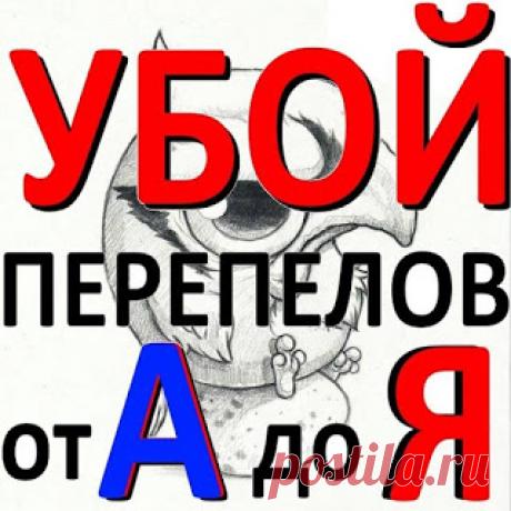 Переработка перепелов