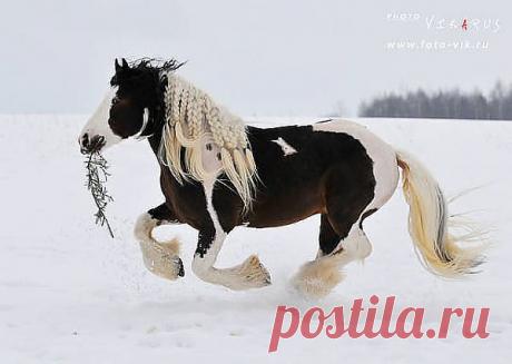 на такой скорости и зима не страшна!